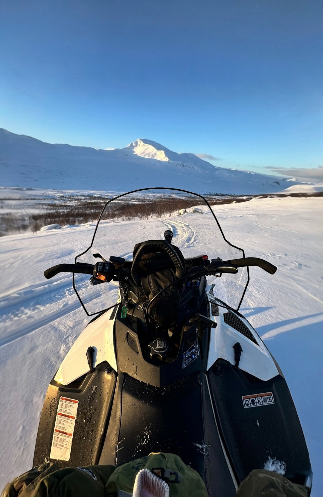 Royal Marines Experimental | First Gen | Arctic IX.5 B